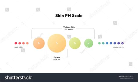 484 Skin ph Stock Illustrations, Images & Vectors | Shutterstock