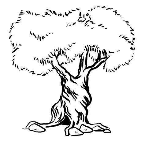 Bodhi Tree Drawing at GetDrawings | Free download