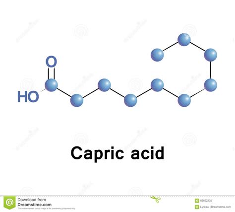 Hexanoic caproic acid stock vector. Illustration of compound - 85852235