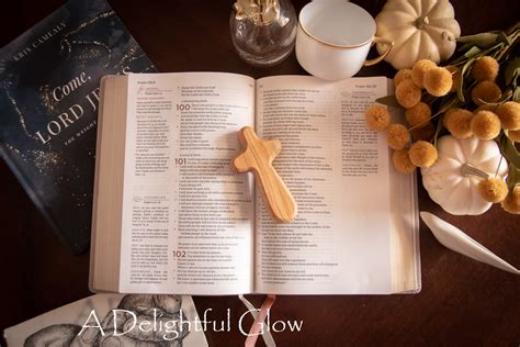 The Abide Bible ⋆ A Delightful Glow