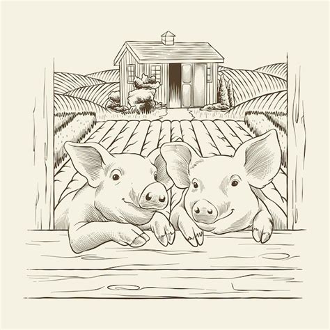 Premium Vector | Illustration of two pigs and a farm