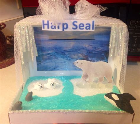 Hannah's diorama...harp seal | Kids science fair projects, Habitats projects, Kids art projects