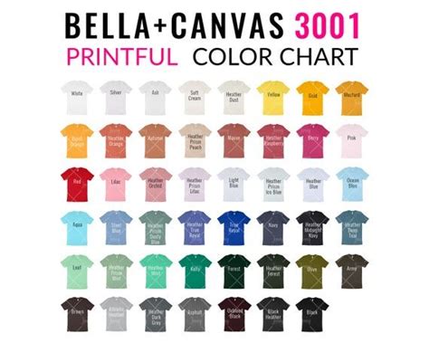 Bella Canvas 3001 Printful Color Chart Mockup Bella Canvas | Etsy in ...