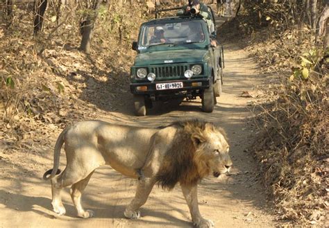 √ National Parks And Wildlife Sanctuaries Of Gujarat