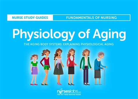 The Aging Body Systems: Explaining Physiological Aging • Nurseslabs