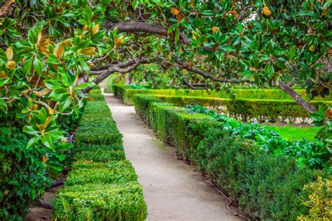 The Royal Palace Gardens, Aranjuez,Community of Madrid,Spain,Europe Stock Image - Image of ...