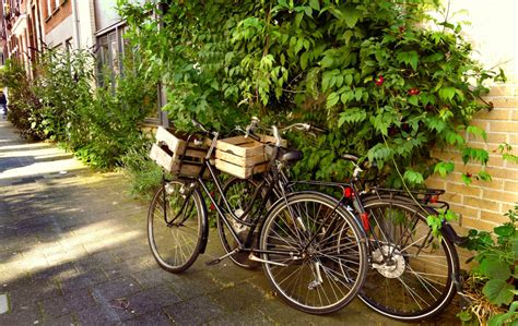Free Images : street, flower, bicycle, city, wall, cycle, sports equipment, mountain bike ...
