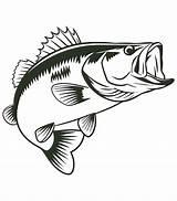 Premium Vector  Bass Fish coloring Page sketch template