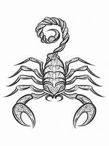 Free Scorpion coloring pages For Adults sketch template