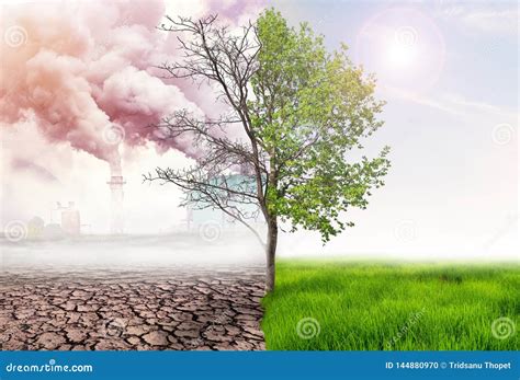 Air Pollution Royalty-Free Stock Photography | CartoonDealer.com #24832403