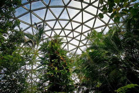 VanDusen Botanical Garden | Bloedel Conservatory