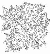 Coloring Page From The ColorArt coloring app  Pages Color App sketch template
