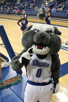 Drake Bulldogs mascot, Spike | College Mascots: Missouri Valley | Pinterest | Bulldog mascot ...