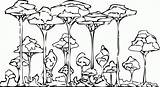 Free Printable Rainforest Coloring Pages  Home sketch template
