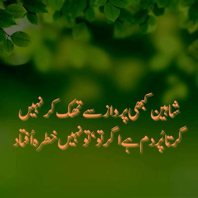 600+ Famous Allama Iqbal Poetry, Shayari Urdu - Linepoetry