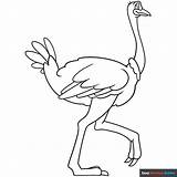 Ostrich Coloring Page  Easy Drawing Guides sketch template