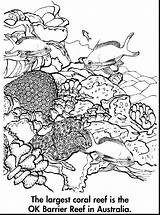 Drawn Coral Reef Easy Pencil And In Color Sketch Coloring Page sketch template