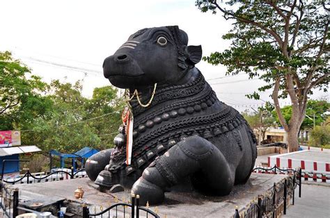 Bull Temple, Bangalore | Timings, History & Legend