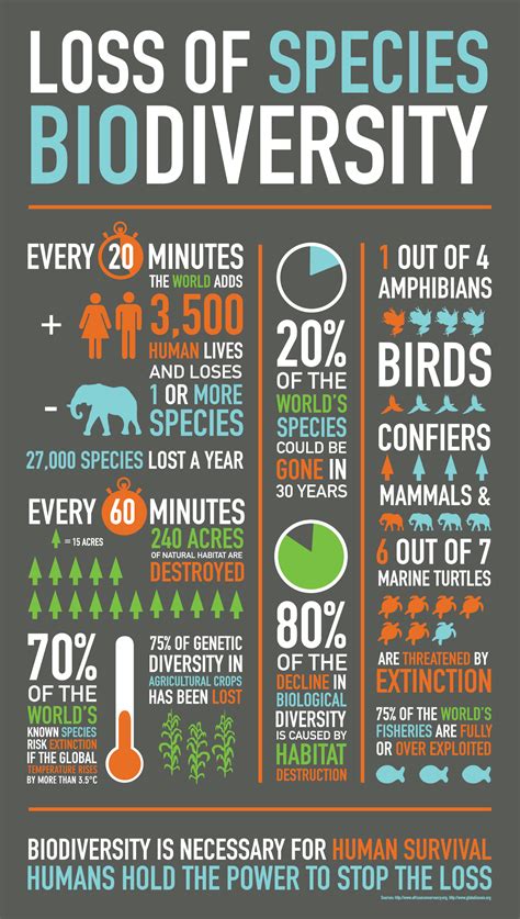 Here is an infographic I created for a Typography course with statistics on the loss of species ...