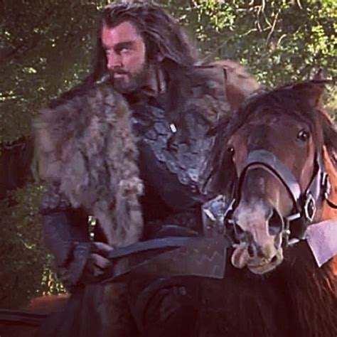 Thorin Oakenshield - Thorin Oakenshield Photo (34515327) - Fanpop