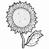 Sunflower Coloring Pages  Learny Kids sketch template