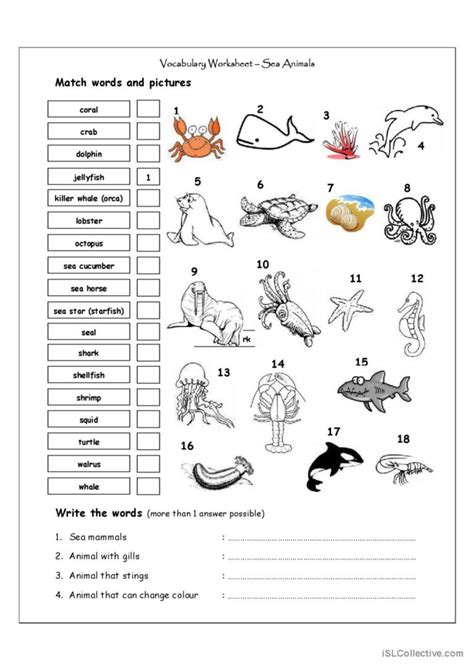 Vocabulary Matching Worksheet - SEA…: English ESL worksheets pdf & doc