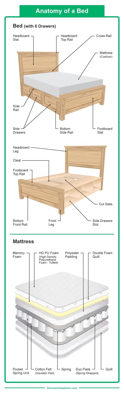 60 Different Types of Beds in 2023 (Styles, Sizes, Frames, and Designs) | Bunk bed designs ...