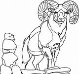 Alpha Male Mountain Goat Coloring Pages  Color Luna sketch template