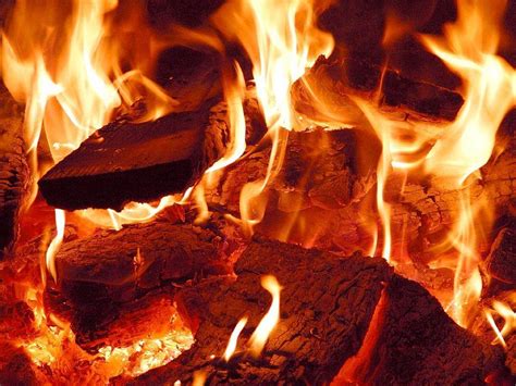 9 Tips for Burning Firewood at Home - Firewood Centre