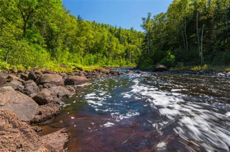 Visit Chequamegon National Forest – Our Guest House Cabins