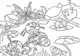 Disegno Stagno Da Colorare sketch template