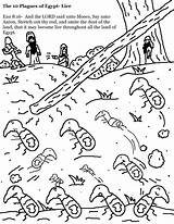 Plague Of Locusts Coloring Sheet sketch template