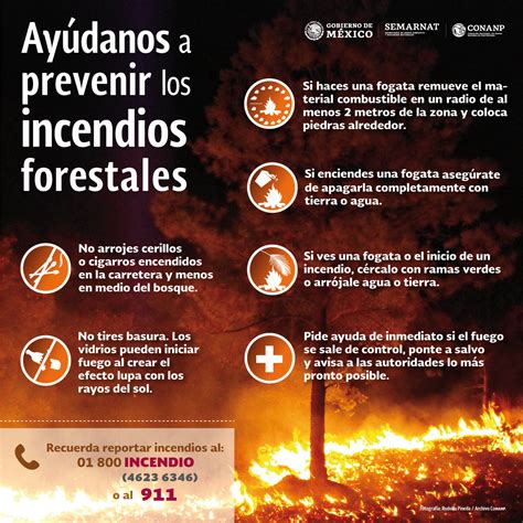 El fenómeno El Niño y los incendios forestales | Comisión Nacional de Áreas Naturales Protegidas ...