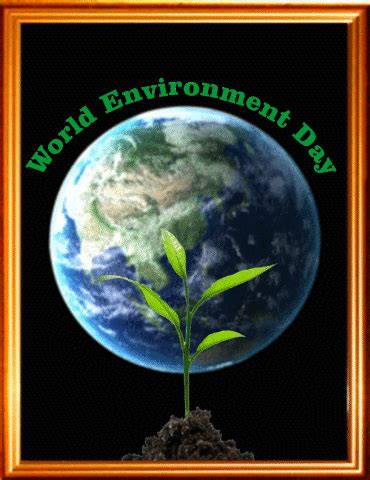 World Environment Day GIF, 3D & Animated Greeting For Whatsapp & FB 2017