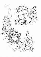 Disney Princess Ariel And Flounder Coloring Pages sketch template