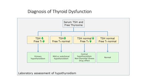 Thyroid Lab Tests Types and Controversies