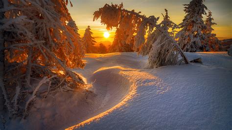 Snow Covered Landscape With Trees During Sunrise HD Winter Wallpapers ...