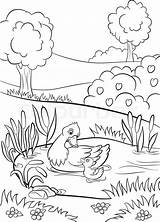 Pond Coloring Pages At GetColoringscom  Free Printable Colorings sketch template