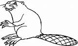 Beaver 12 coloring Page  Free Printable Coloring Pages sketch template