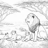 Lion Coloring Pages 50  Coloring Gem sketch template