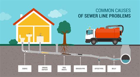 Common Causes Of Sewer Line Problems Stock Illustration - Download ...