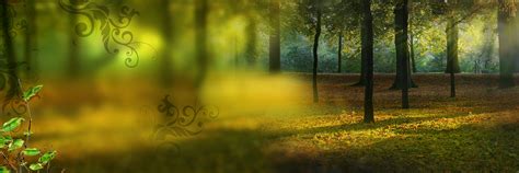 🔥 Forest Nature Flex Banner Background Download | CBEditz