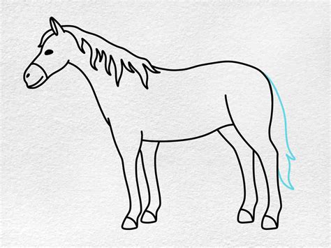 Horse Drawing for Kids - HelloArtsy