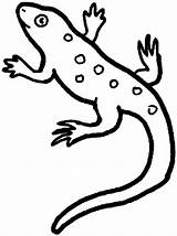 Free Printable Lizard Coloring Pages For Kids sketch template