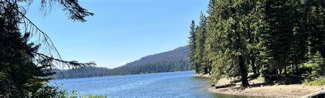 Mill Creek Trail: 31 Reviews, Map - California | AllTrails