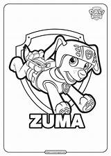 Full Size Printable Coloring Pages Paw Patrol Zuma sketch template
