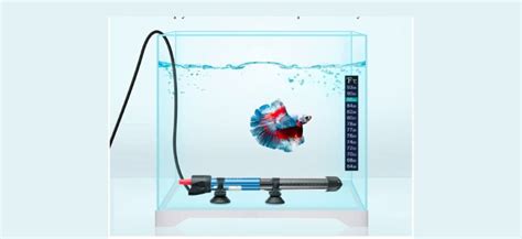 The 6 Best Aquarium Heaters for 10-Gallon Tank