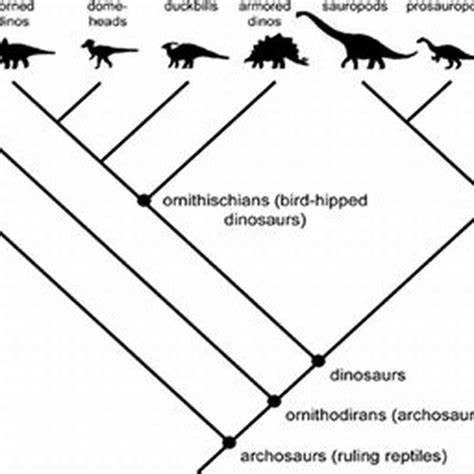 What did ornithischian eat? - DIY Seattle