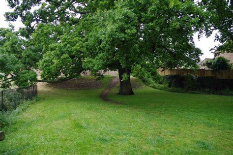 Oak tree and footpath, Charlton Kings,... © P L Chadwick :: Geograph Britain and Ireland