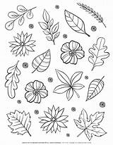 The Alluring World Of Adult Coloring Pages Flowers sketch template